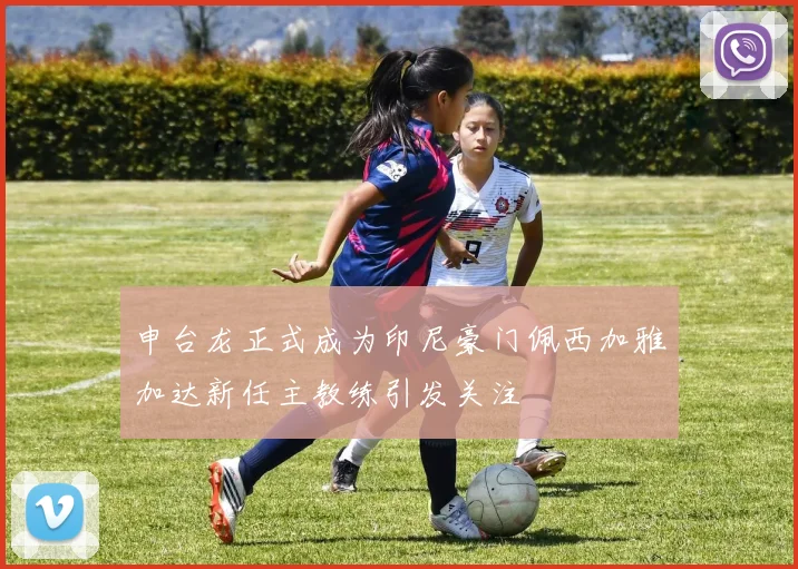申台龙正式成为印尼豪门佩西加雅加达新任主教练引发关注